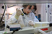 West Nile virus research