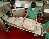 Body for 'Visible Human' being put into storage