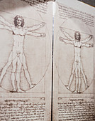 Da Vinci artwork in mirror to show mirror script