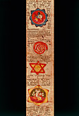 Sanskrit medical manuscript