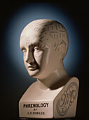 Phrenology bust by L.N. Fowler