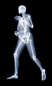 Runner,X-ray artwork