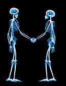 Handshake,X-ray