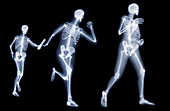 Relay runners,X-ray artwork