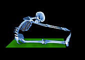 Skeleton stretching