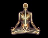 Yoga position,X-ray artwork
