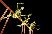 Hurdlers,X-ray artwork