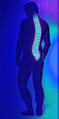 Computer illustration of a healthy human spine