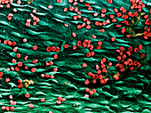 Coloured SEM of blood vessel with red blood cells