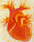 Artwork of a healthy human heart