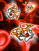 Computer art of haemoglobin and red blood cells