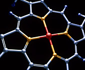 Haem group molecule