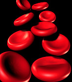 Red blood cells