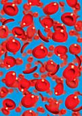 Red blood cells