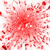 Red blood cells