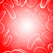 Red blood cells