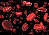 Red blood cells,artwork