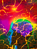 Artwork of human head with brain and light trails