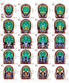 Healthy brain,MRI scans