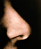 Close-up of a human nose in side view