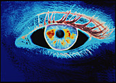 Computer graphic of a human eye (negative-image)