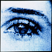 Computer artwork of a woman's eye