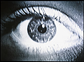 Close-up of a woman's healthy eye
