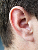 Man's ear