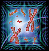 Computer artwork of chromosomes over grids