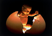 Abstract image of human foetus hatching from egg