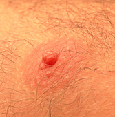 Close-up of a man's nipple