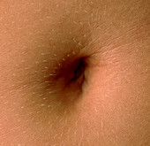 Close-up of the navel (belly button) of a woman