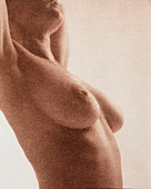 Side view of the naked torso of a woman