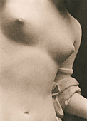 Woman's torso