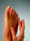 Woman's manicured hand and pedicured foot