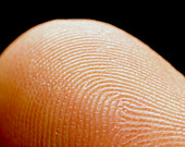 Macrophotograph of an index finger