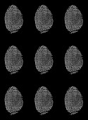 Human fingerprints