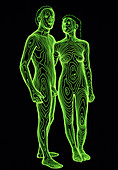 Contour map of a man & woman standing side by side