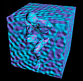 Computer artwork of human form emerging from cube