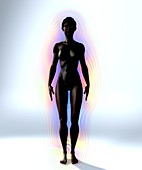 Naked woman's body with aura,artwork