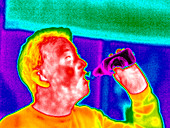 Drinking beer,thermogram