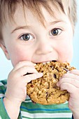Toddler eating a chocolate chip cookie