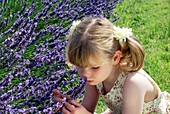 Girl in lavender field