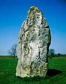 Standing stone,part of circle at Avebury