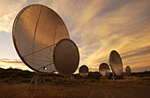 Allen Telescope Array