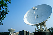 Westerbork Synthesis Radio Telescope