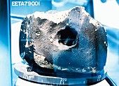 Meteorite stored in dry nitrogen cabinet
