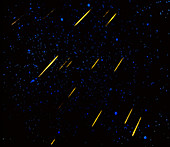 Coloured photograph of Leonid meteor shower