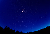 Perseid meteor trail