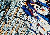 PLM of a section through a stony meteorite